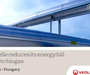 xinhangqimo - Nagykőrös: Bonduelle reduces its energy bill thanks to biogas Thumbnail